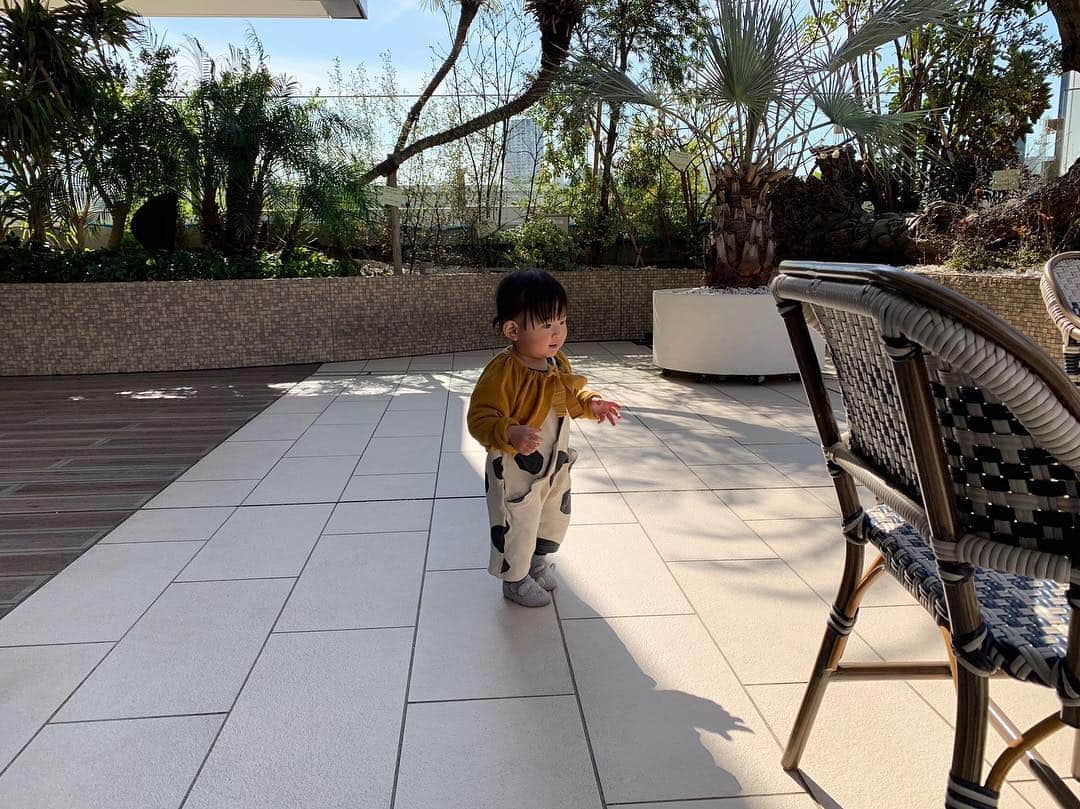 maatamagosanのインスタグラム：「一年前はうまれたてでパジャマのまま家で過ごした誕生日だったけど、こんなにスタスタ歩けるようになってるなんて〜」