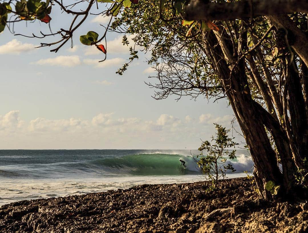 surflineさんのインスタグラム写真 - (surflineInstagram)「Spring Break Guide Surf Destination Three: Puerto Rico  Western Atlantic storms are winding down in spring but are far from unheard of. Your odds of fun surf increase significantly if you stay or travel to the nearby North Coast which is more open to receive trade and northeast swells — but it is also more exposed to tradewinds. You can find more nightlife around Aguadilla or even schedule some extra time to socialize in the big city with a flight to/from San Juan versus the more surgical strike to the Northwest coast. 📷: @miahklein」3月19日 3時56分 - surfline