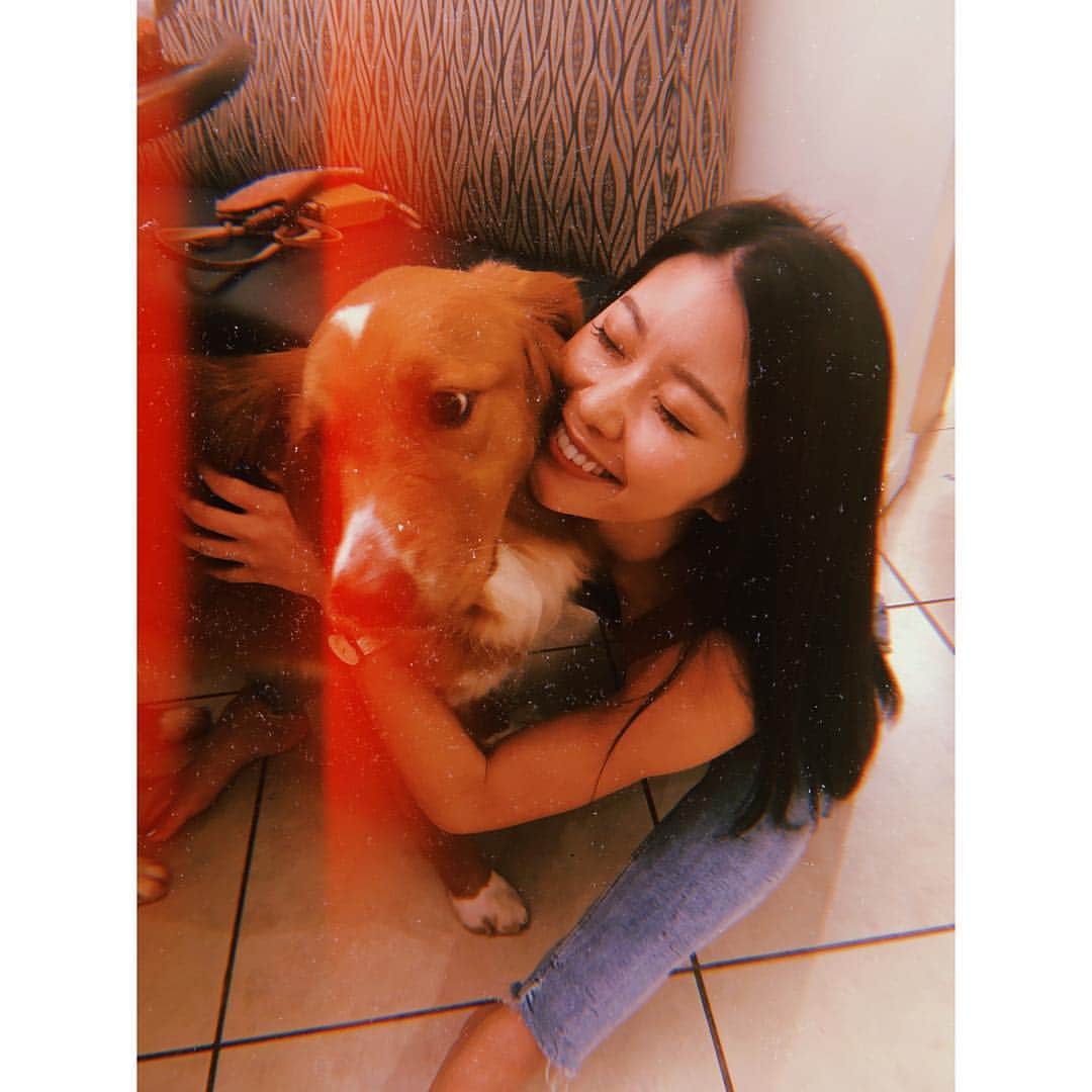 福山智可子のインスタグラム：「Some people talk to animals. Not many listen though.  #animallovers」