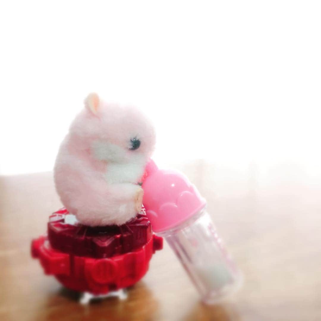 平野由実さんのインスタグラム写真 - (平野由実Instagram)「#娘のしわざ  可愛くて二度見してしまった。 話を聞くと、「赤ちゃんハムスターだから、ミルク飲んでるの」とのことでした。 朝からほっこりした。 ありがとう😊娘よ。 #絶妙なバランス」3月19日 10時36分 - yumi_hiranoo