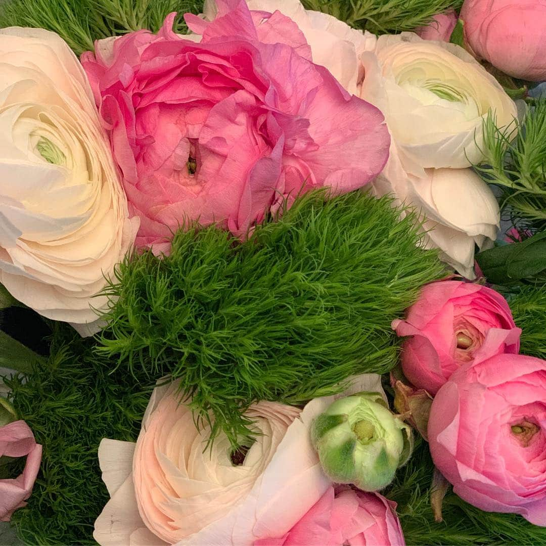 アナベス・ギッシュさんのインスタグラム写真 - (アナベス・ギッシュInstagram)「Oh, into this beautiful sea of anemone dianthus and ranunculus... thank you @keithratz for the perfect sea/rose mix. Xox」3月19日 10時38分 - annabeth_gish