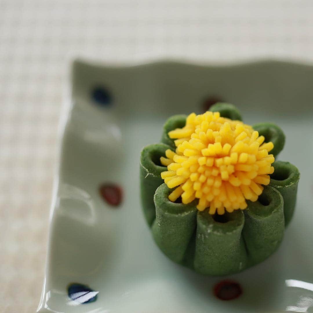 Toru Tsuchieのグルメインスタ