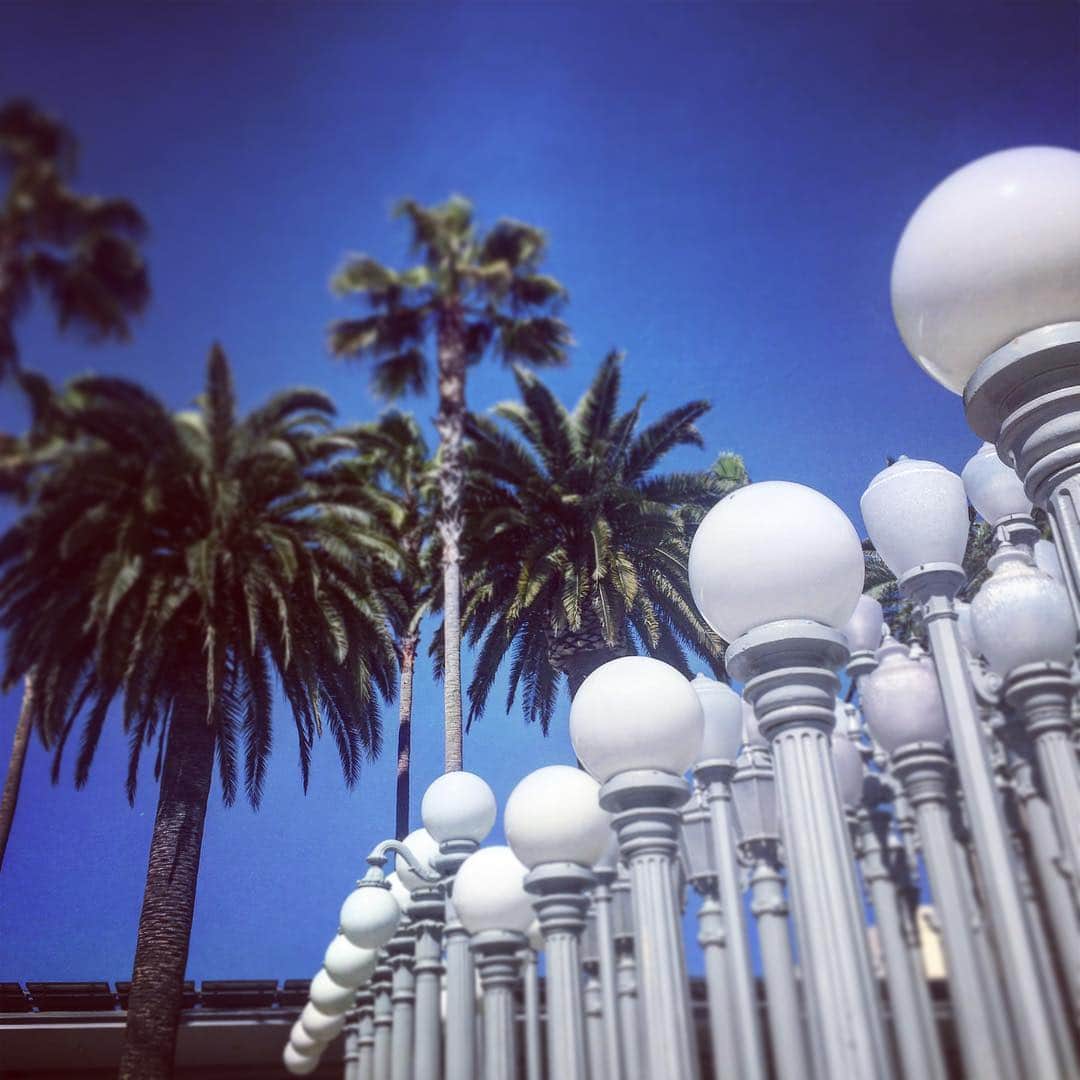 のインスタグラム：「Sunny LA... #TourDreams #lacma」