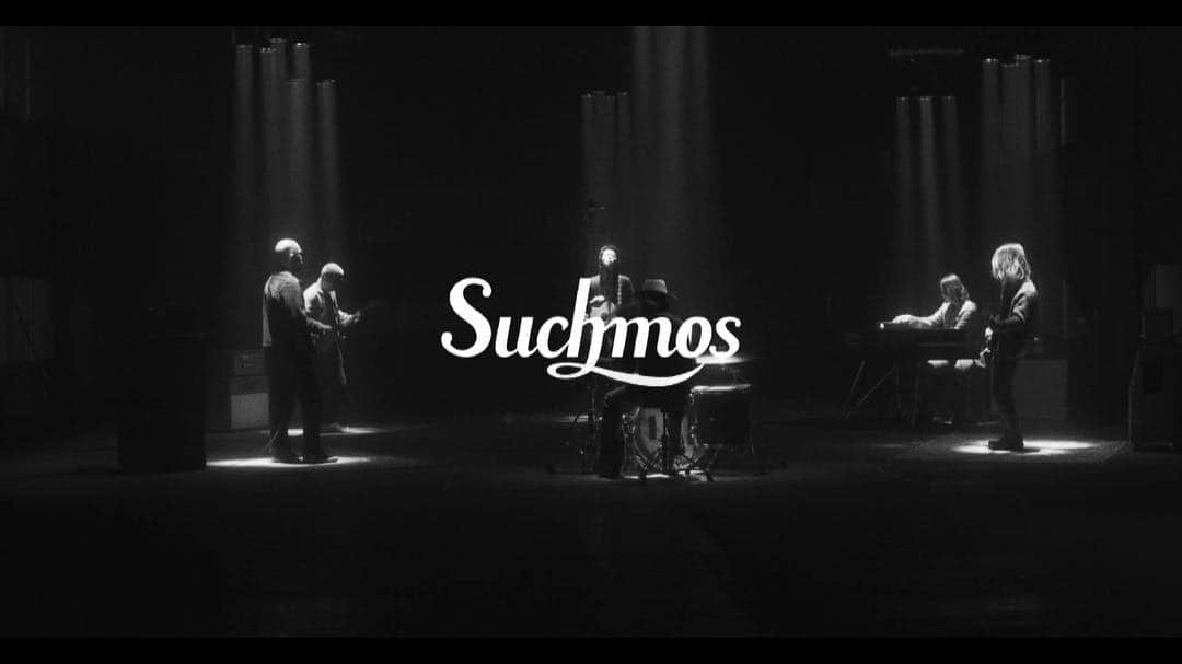 Suchmosさんのインスタグラム写真 - (SuchmosInstagram)「「In The Zoo」Official Music Video 公開 “We‘re just animals”  Directed By Kento Yamada  @dutch_tokyo  ご視聴はストーリーズから！  #InTheZoo #THEANYMAL #Suchmos」3月19日 7時03分 - scm_japan
