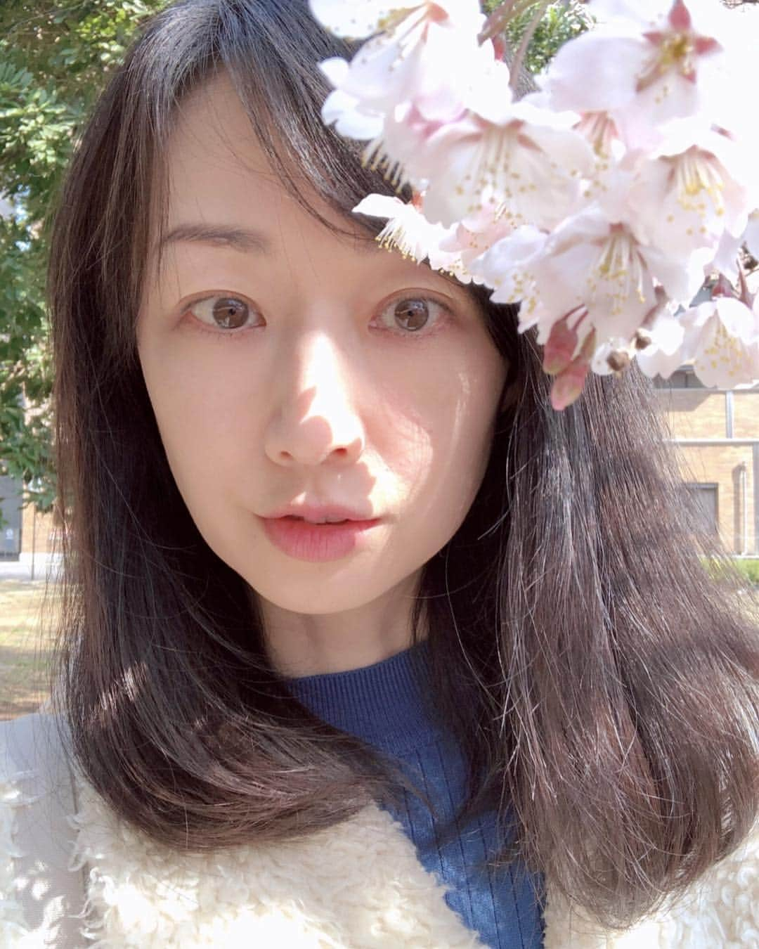 理絵さんのインスタグラム写真 - (理絵Instagram)「おはよー🌸  #桜 #sakura #ciliegio #벚꽃 #cerisier #cherryblossom #model #actress #modella #attrice #모델 #여배우 #tokyo #japan」3月19日 7時08分 - ____rie____