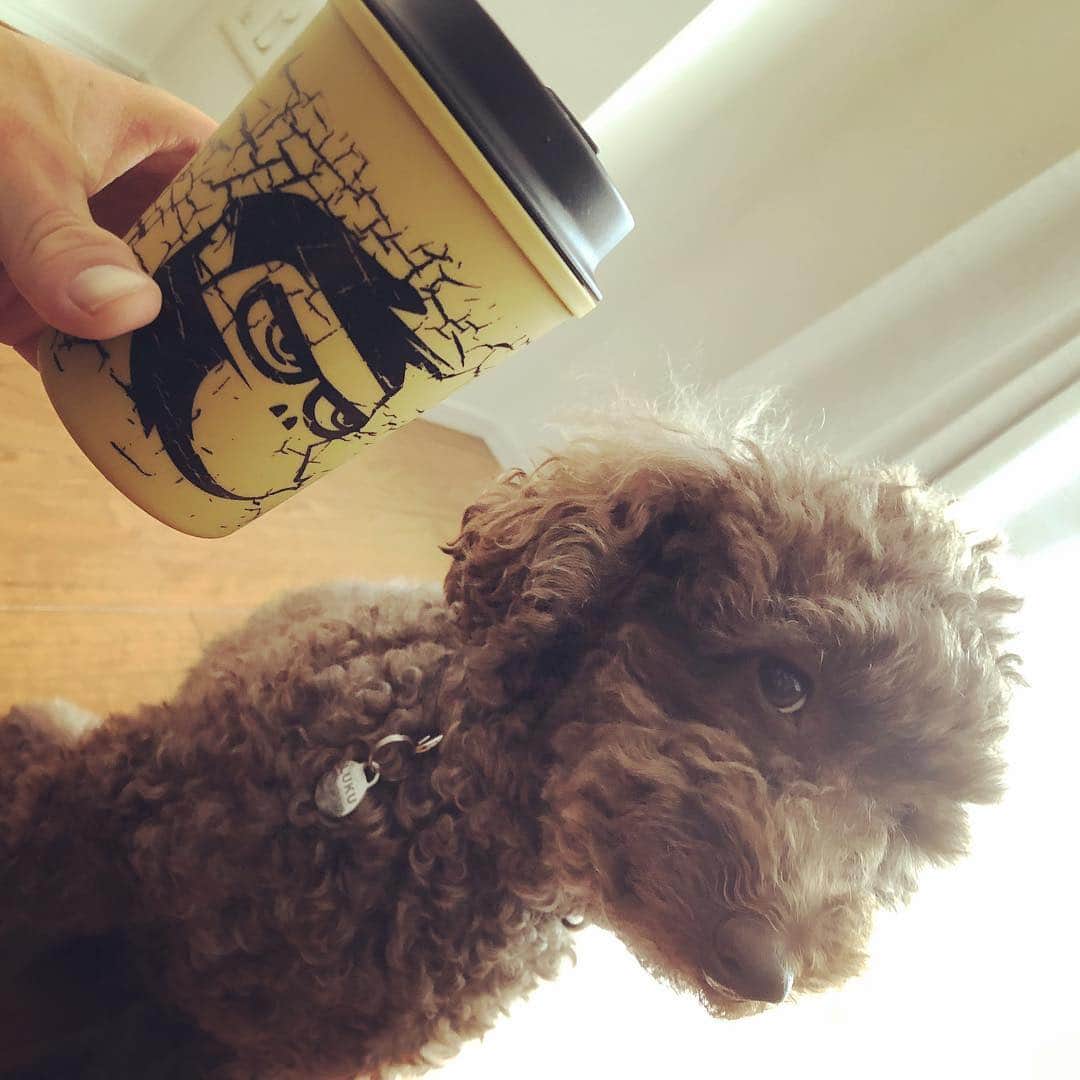 のインスタグラム：「ナチュモンとルーク💁‍♂️🐵🐶 おはようございます☀」
