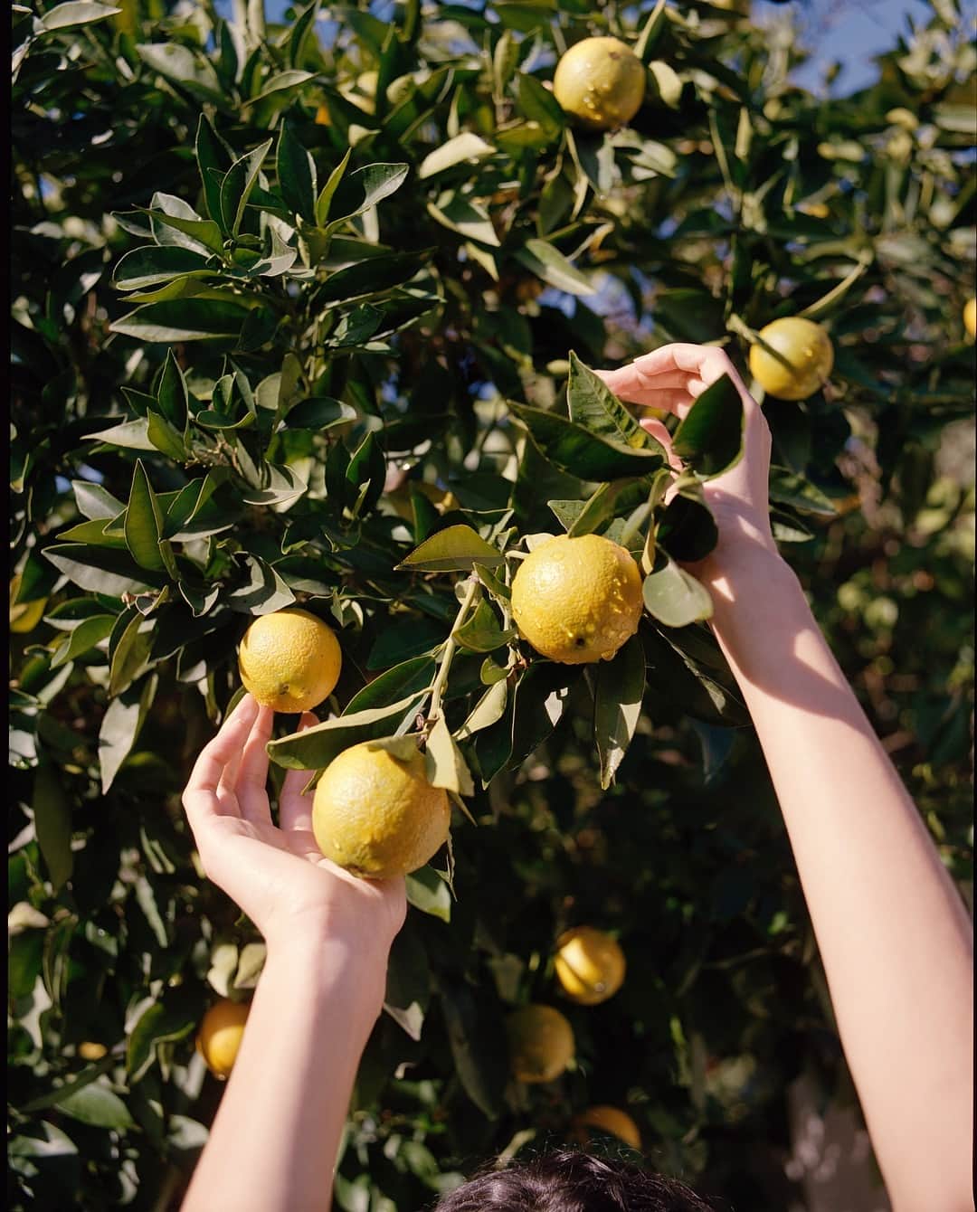 のインスタグラム：「Jumping into Spring hands-first. 🙌 . . 📸 @katie.and.joe #velvetla #laidbackchic #spring2019 #invelvet #elevatedstaples」