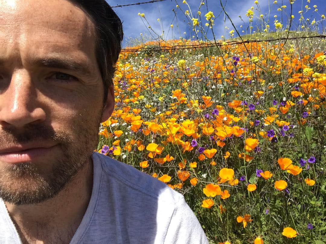 イアン・ハーディンクさんのインスタグラム写真 - (イアン・ハーディンクInstagram)「Best way to get over a cold: massive amounts of pollen. #superbloom #antelopevalley #poppy #icantstopsneezing」3月19日 7時35分 - ianmharding