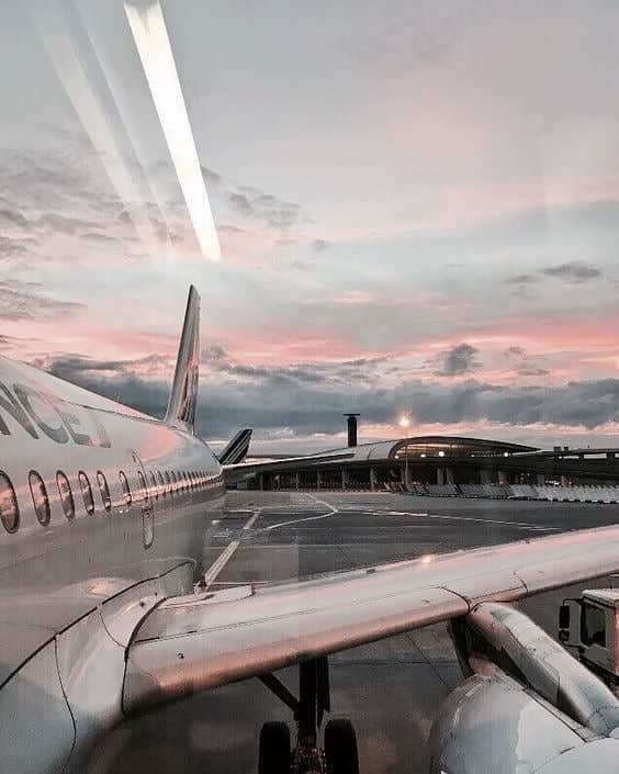 Your Teaさんのインスタグラム写真 - (Your TeaInstagram)「Don’t ruin your vacation by getting sick. "TIP: CHOOSE THE WINDOW: In a 2008 study, people who sit in aisle seats were shown to be far more vulnerable to sickness because passengers walking down the aisle have dirty hands from the restroom." From our blog, 8 HEALTHY TIPS TO STAY WELL WHILE TRAVELING」3月19日 8時09分 - yourtea