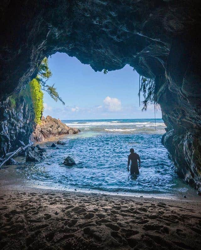 ハワイアン航空さんのインスタグラム写真 - (ハワイアン航空Instagram)「これぞ正しく、#地球の楽園 🐢  Photo by @randomrob_  #カウアイ島」3月19日 8時30分 - hawaiianairlinesjp
