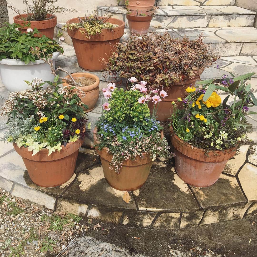 MILLE ECLAT.のグルメインスタ