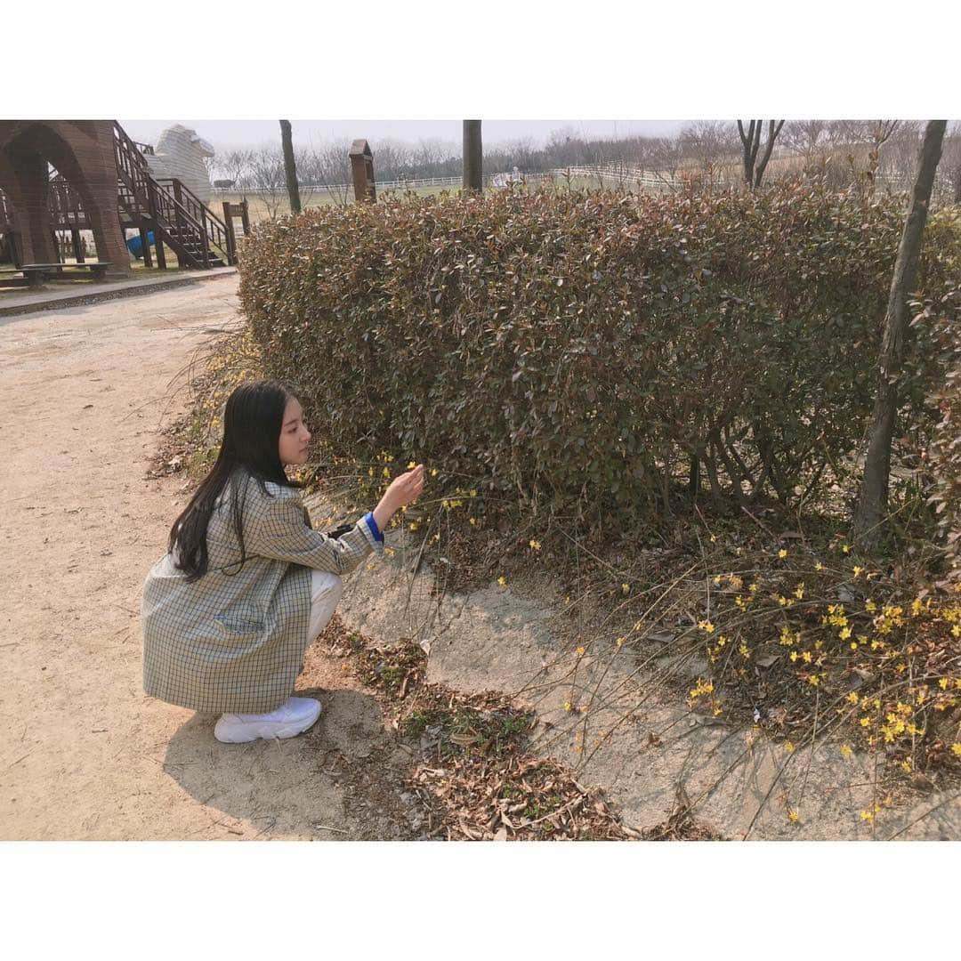 イ・セヨンさんのインスタグラム写真 - (イ・セヨンInstagram)「여보세요? 저 봄을 조금 빨리 보내주실 수는 없을까요? ☎️🙇‍♀️😉」3月19日 18時22分 - seyoung_10