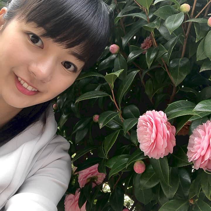 紀真耶さんのインスタグラム写真 - (紀真耶Instagram)「#取材 シリーズ 旧古河庭園で綺麗なピンク色のお花を見つけました！ 普段はお花を見に行ったりしませんが、心が綺麗になる気がします！ 東京のソメイヨシノの開花、あと少しですね(^^) ☆ ☆  #お花#花の名前は?#あの花好きです#アニメ#連想ゲーム#桜#テレビ朝日#スーパーjチャンネル #アナウンサー#紀真耶」3月19日 18時30分 - maya0kino