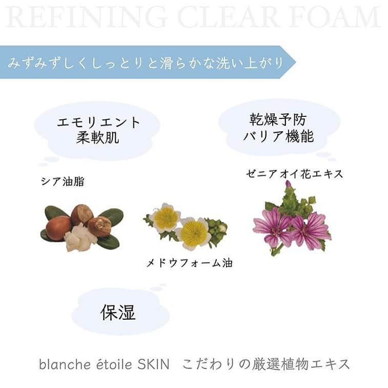 blanche étoileさんのインスタグラム写真 - (blanche étoileInstagram)「． 【 REFINING CLEAR FOAM 】 ． 厳選された植物エキスを豊富に配合し、 洗うだけではなく、 使うたび丁寧にスキンケアをしたかのような 肌へと導きながら、 様々な肌トラブルや肌悩みに しっかりアプローチ致します✨ ． blanche étoile SKIN こだわりの洗い上がりを是非実感くださいませ😊💐 ． #blancheétoile #ブランエトワール #濱田マサル #スキンケア #洗顔 #透明感  #skincare #Cleansing  #洗脸 #皮肤护理 #세안  #스킨케어」3月19日 18時48分 - blanche_etoile