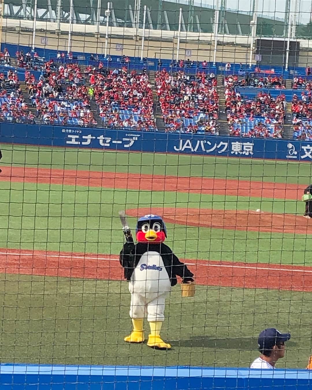 坂元美香さんのインスタグラム写真 - (坂元美香Instagram)「今シーズン何回こんな投稿するのか… 予測してください🤣 . 今日は平日の昼間だしまだオープン戦だしガラガラだろうと思ってのんびり2回裏くらいから行ったら、意外にもいっぱいでびっくり。さすが広島ファン。平日の昼間でも赤かった🤣 . そして、今日は自由席だったのだけど今シーズン買った年間シートの席が偶然にも空いてたからそこに座ってみたら、なかなか良い席だった🤩 . ちなみに一人で観にいくため年間シートは一席しか買っていません（ガチw）行けない日が何日かあるので譲って欲しいという方はDMください。（買取）ハワイで行けない開幕戦あたりの試合はすでにお譲り済みです🙇🏻‍♂️ . 最後はつば九郎先生のダンス。 . #神宮球場 #ヤクルトスワローズ #広島カープ #プロ野球 #私のビアガーデン #つば九郎 #坂元野球観戦記録」3月19日 19時06分 - mika_saka