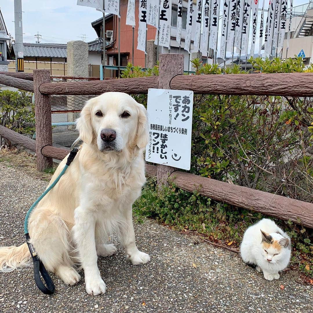 P太郎ママのインスタグラム