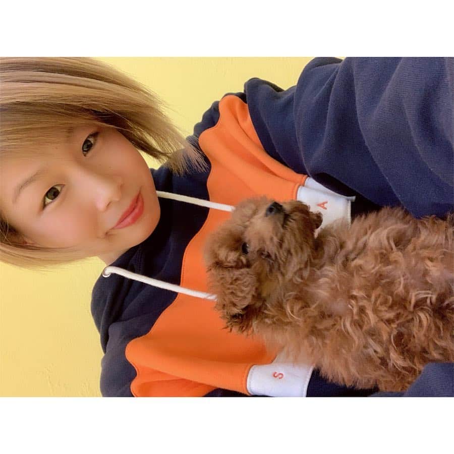 浅倉カンナさんのインスタグラム写真 - (浅倉カンナInstagram)「原宿にオープンしたティーカッププードルのお店に行ってきました！ ちっちゃくてちょこちょこしてて癒された😙💗 癒しが欲しい方、動物好きな方は行くべきです！笑 @harajuku_poodle  #原宿プードル #ティーカッププードル」3月19日 19時25分 - a_kanna_