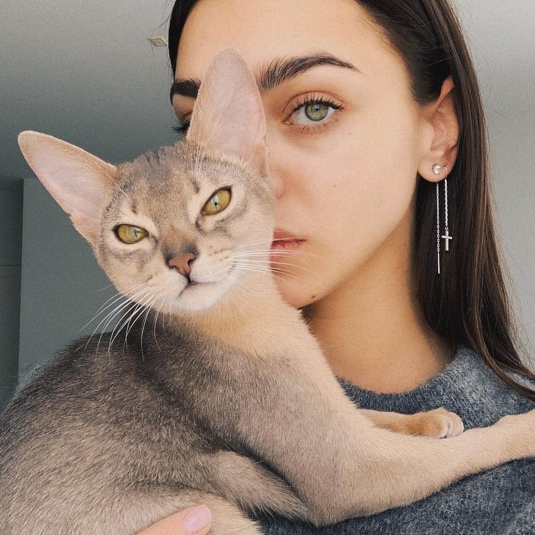 Zhenya Katavaのインスタグラム：「Ни дня не жалею, что о тебе мечтала💚 Степан Евгеньевич🐱 #абиссинец #abyssinian」