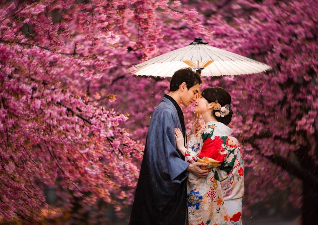 Decollte Wedding Photographyさんのインスタグラム写真 - (Decollte Wedding PhotographyInstagram)「[Yoyogi Park 代々木公園,  Tokyo] . Early Cherry Blossom in the rain🌸☔ . Photo by @shinmoto_studio_aqua @decollte_weddingphoto  @decollte_weddingstyle  #japan #tokyo #cherryblossom #prewedding #sakura #kimono #weddinginspiration #weddingphotography #happiness #日本 #東京 #櫻花 #和服 #婚紗 #冬天 #雨天 #婚紗攝影 #海外婚紗 #花嫁 #婚紗 #唯美 #浪漫 #신부 #웨딩 #웨딩사진 #婚展 #推介」3月19日 19時39分 - d_weddingphoto_jp