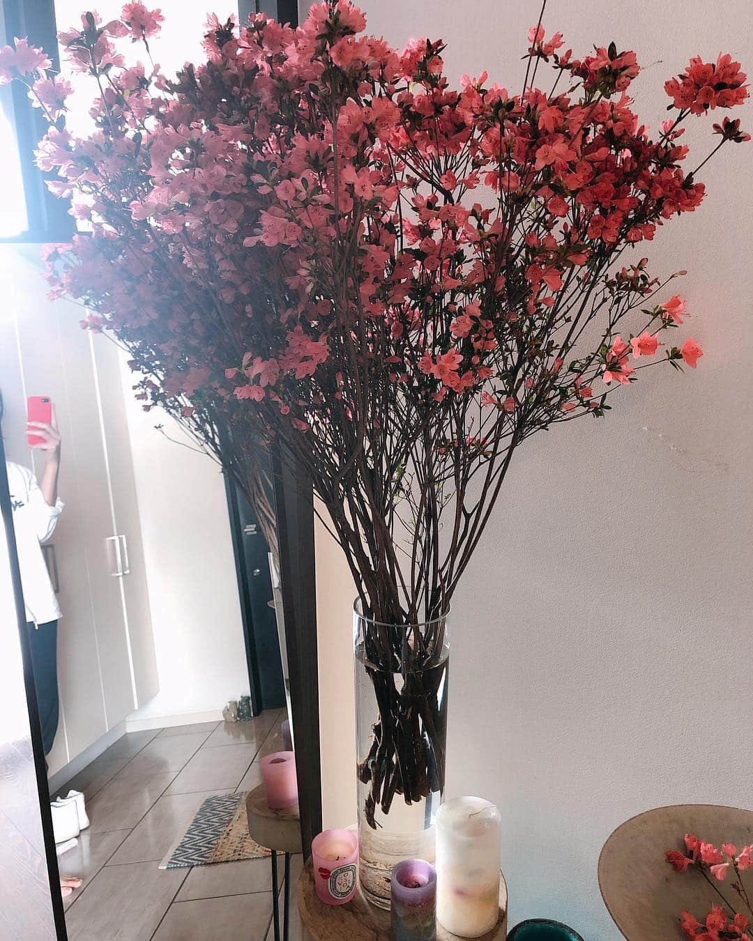 のインスタグラム：「・ ・ 朝のひかりに包まれた紅切りつつじ  満開のつつじの少し色褪せた感じが たまらなくうつくしくて愛おしい  うっとり ・ ・ #life #お花のある暮らし  #紅切りつつじ #ベニキリツツジ #日常  #次回は春分の日に入れ替えする #部屋着でちらっとこんにちは #シーサーずもこんにちは😃」