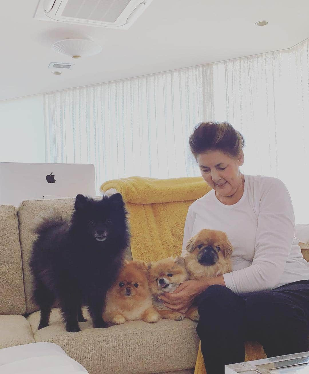 梅宮アンナさんのインスタグラム写真 - (梅宮アンナInstagram)「#mood #dog #family #poperanian #pekingese」3月19日 11時21分 - annaumemiya