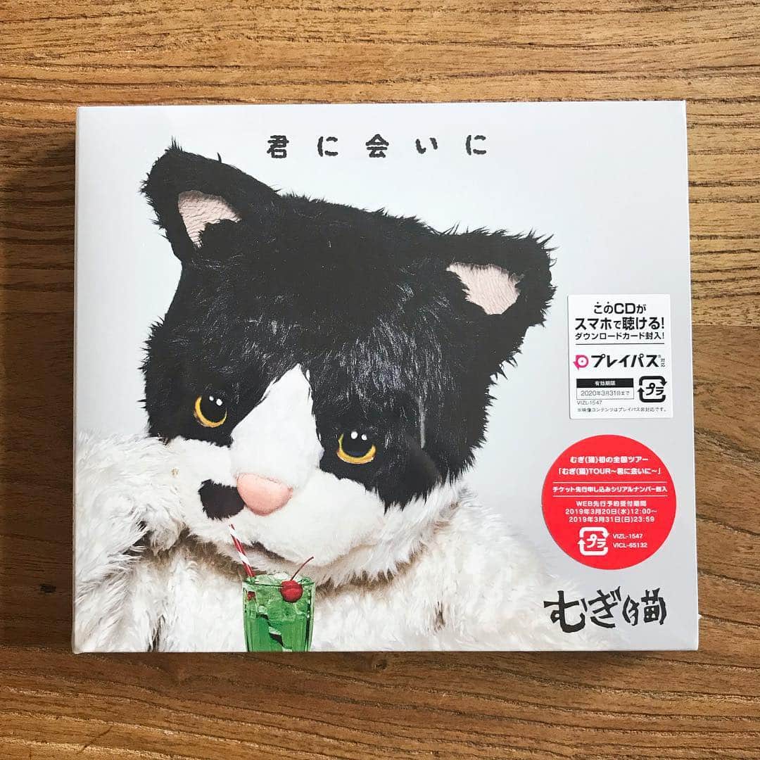 山田稔明さんのインスタグラム写真 - (山田稔明Instagram)「むぎちゃんメジャーデビューおめでとう！猫好きもそうでない人もみんな聴くといいと思います。なによりもその歌が良いのです。今日からレコード屋さんに並ぶそうです。 #むぎ猫」3月19日 11時29分 - toshiakiyamada
