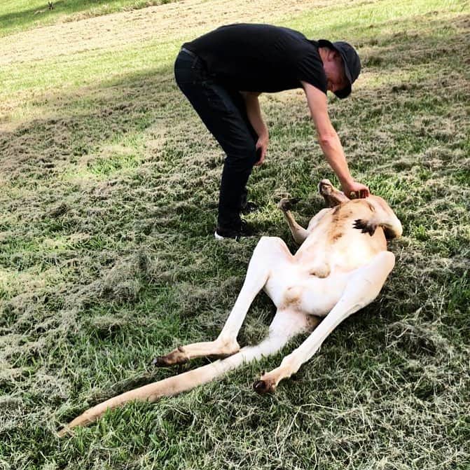 ブライアン・アダムスのインスタグラム：「Great to be back in Australia 🇦🇺❤️#ballsout #kangaroolove #bryanadamsshinealight」
