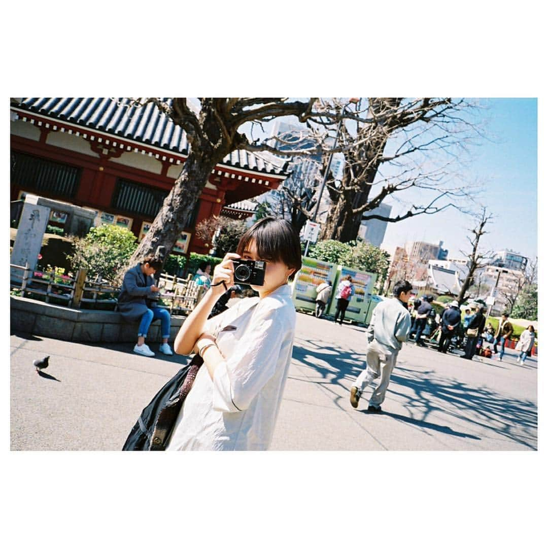 小口桃子さんのインスタグラム写真 - (小口桃子Instagram)「🎞﻿ ﻿﻿ #camera#filmcamera#filmphotography#film#nikon#olympuspen#olympuspenef#fujifilm400#tokyo#asakusa#フィルムカメラ#フィルム#ハーフカメラ#ogumomofilm」3月19日 11時52分 - momoko_oguchi