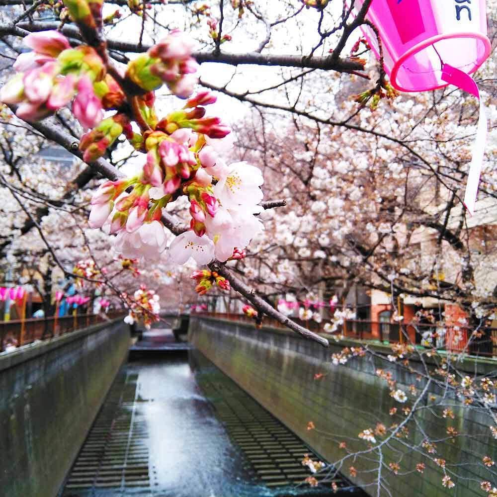 オズモールレストランのグルメインスタ