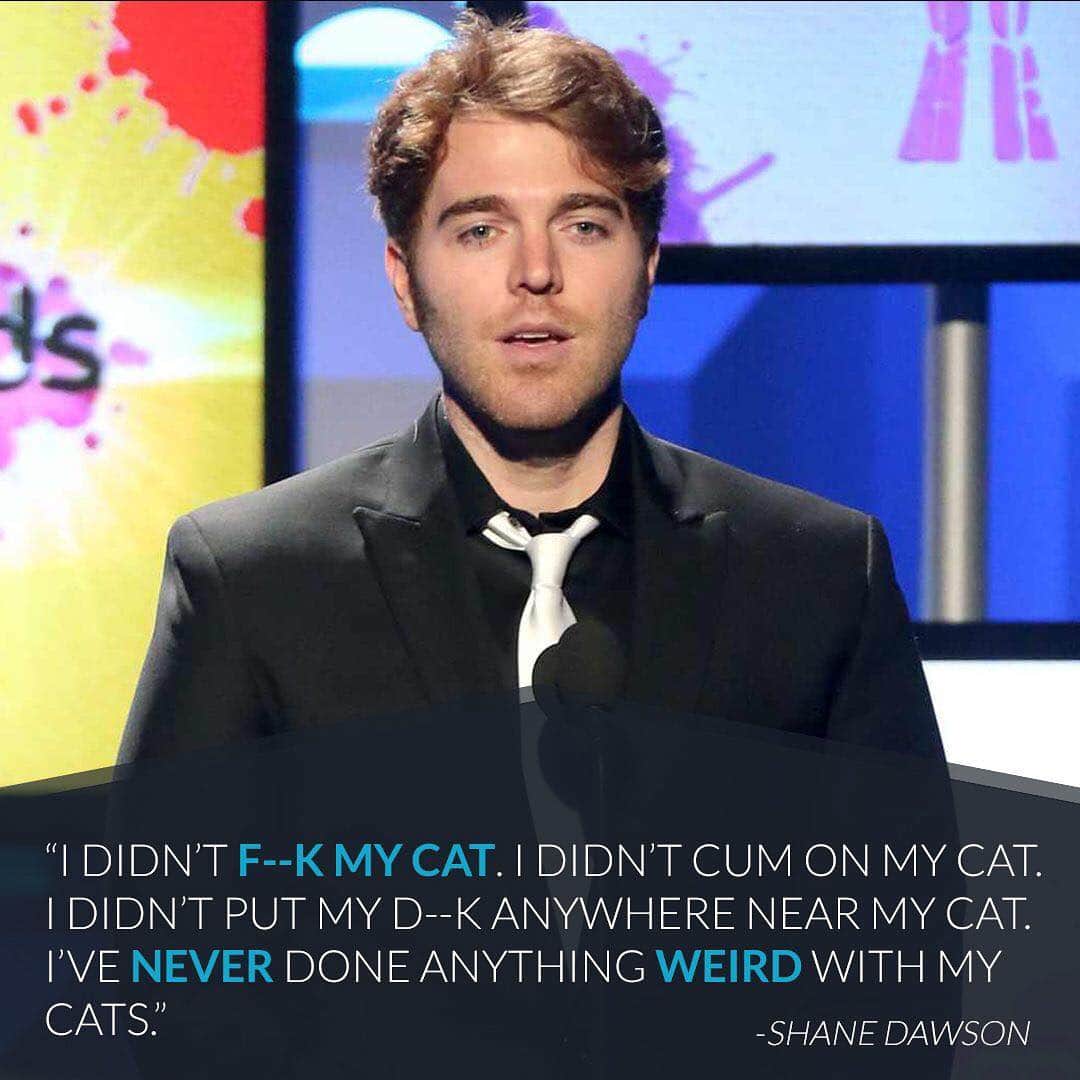 E! Onlineさんのインスタグラム写真 - (E! OnlineInstagram)「We never thought we'd see any apology like this. Link in bio for the full story on Shane Dawson's cat joke that went terribly wrong. (📷: Getty Images)」3月19日 11時49分 - enews