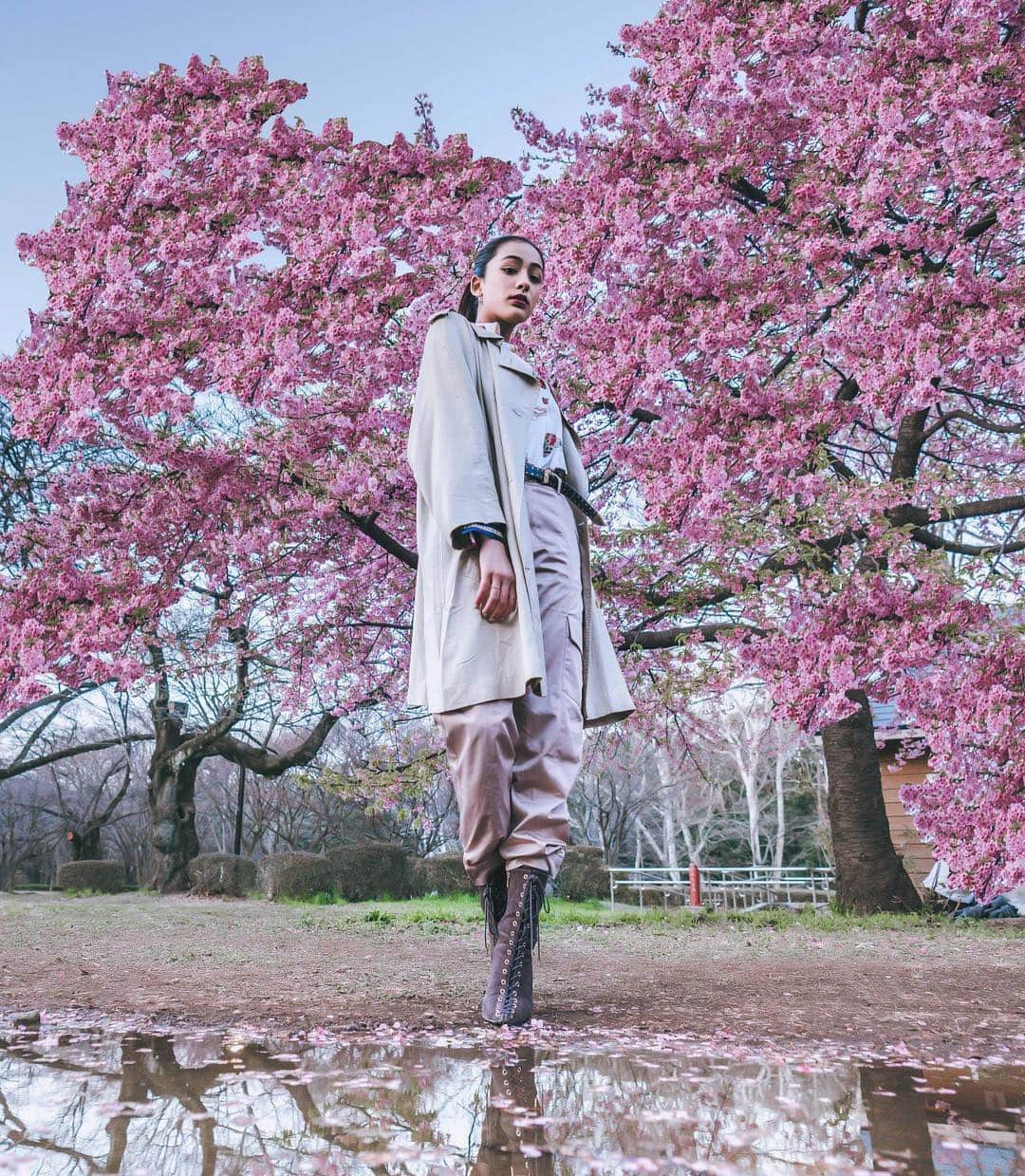 木佐貫まやさんのインスタグラム写真 - (木佐貫まやInstagram)「Mmmmm❤️💭 Are you ready for Japanese cherry blossom???🌸🌸 . Photo by @jariays  #sakura #cherryblossom #picture #pursuitofportraits #aovportraits #portraitpage #portraitgames #moodygrams #ourmoodydays #moodyportraits #creative_portraits #moodyports #moodyfilm」3月19日 11時50分 - maaayaofficial