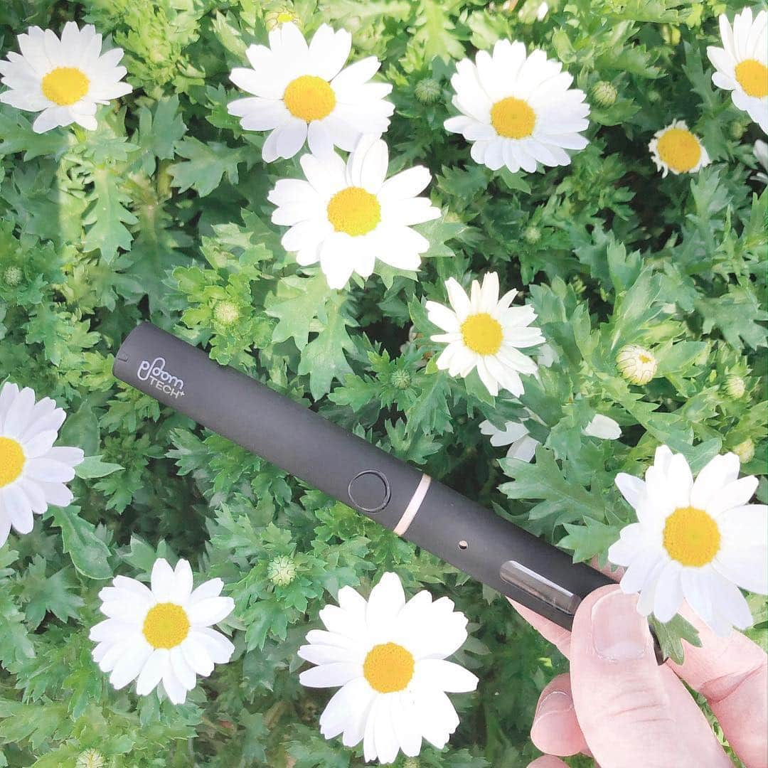 土屋香織さんのインスタグラム写真 - (土屋香織Instagram)「𖡛. 🌼🌼🌼 . おしゃれなフォルム。 Ploom TECH+も とってもコンパクト。 𓇼𓇼𓇼 . 最近は飲むときも Ploom TECHの方が増えて 多くなってきたのがうれしいです🍻 周りへの気遣い大切✨ . . #PloomTECHplus #Ploom #Ploomアンバサダー  #pr @ploomtech_official . . . #instalifestyle #lifestylegram  #mineby3mootd #r_fashion #kurashiru #locari #mery #4meee #4yuuu #mamagirl #코디 #스타일링 #kaumo_fashion #ponte_fashion #mamagirl #オトナミューズ #プルームテックプラス  #ploomtechplus」3月19日 12時14分 - kaorintsuchiya