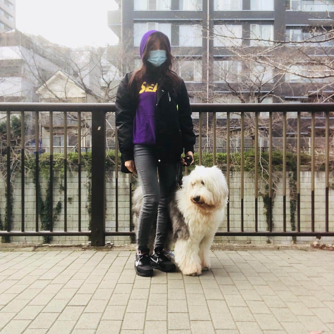 工藤静香さんのインスタグラム写真 - (工藤静香Instagram)「この時期の散歩はクシャミで腰が抜けてしまいそう🤣 B240乳酸菌入りドリンクで💚カラダをバリア💚しているせいか、去年より楽かもしれない😊」3月19日 12時38分 - kudo_shizuka