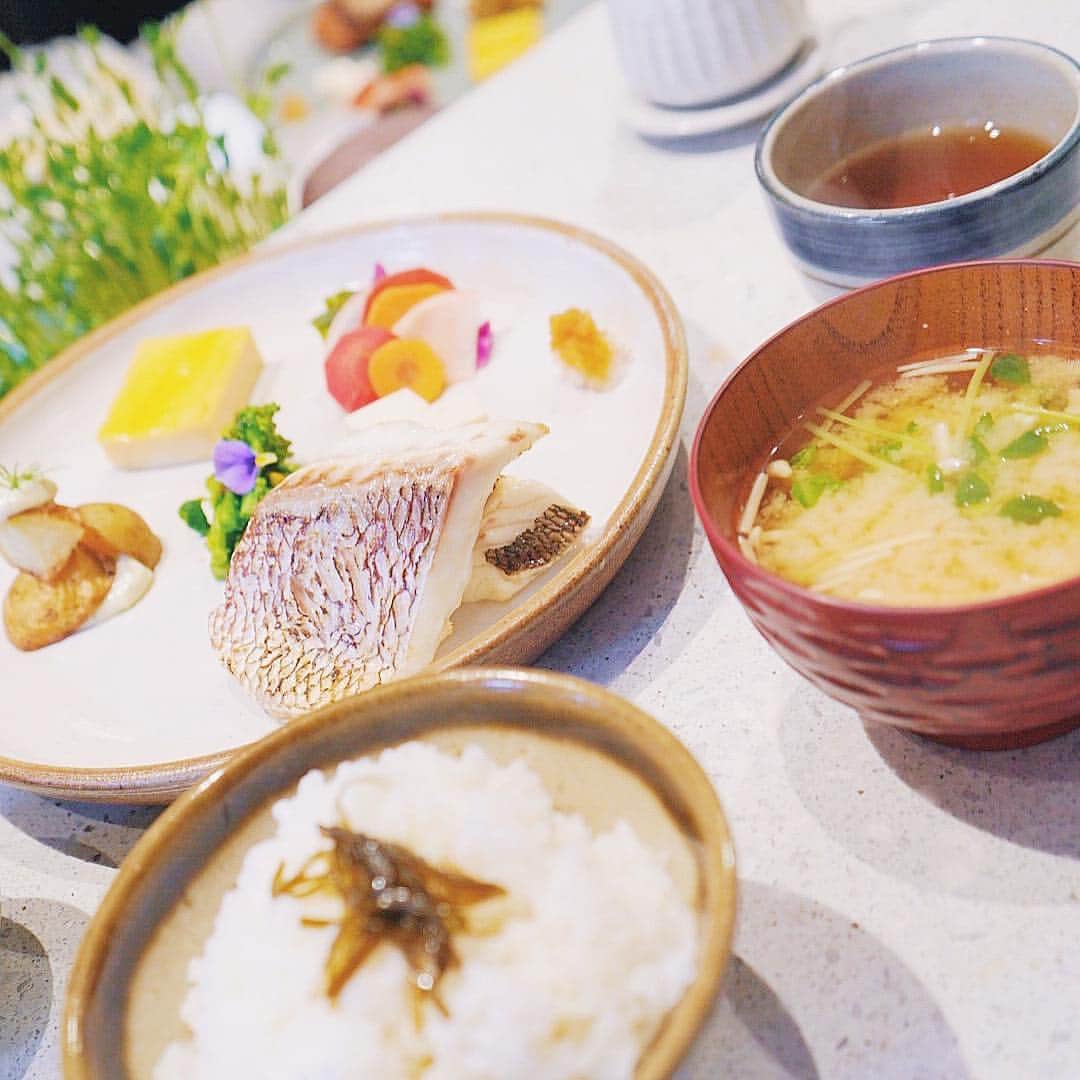 TaVisionのグルメインスタ