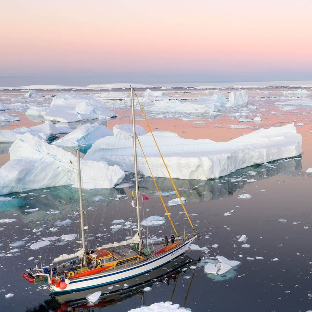 National Geographic Travelさんのインスタグラム写真 - (National Geographic TravelInstagram)「Photo by @daisygilardini | Being in the right place at the right time is key when on assignment in remote locations. A sailboat is an incredible platform for photography in Antarctica’s  frozen waters, even if sometimes it’s not the most comfortable and stable means of transportation — especially if you suffer from seasickness. The flexibility of cruising among icebergs in shallow water, and the lower angle one gets when close to the water, are simply brilliant. Follow me @daisygilardini for more images and stories behind the scenes.」3月19日 13時04分 - natgeotravel