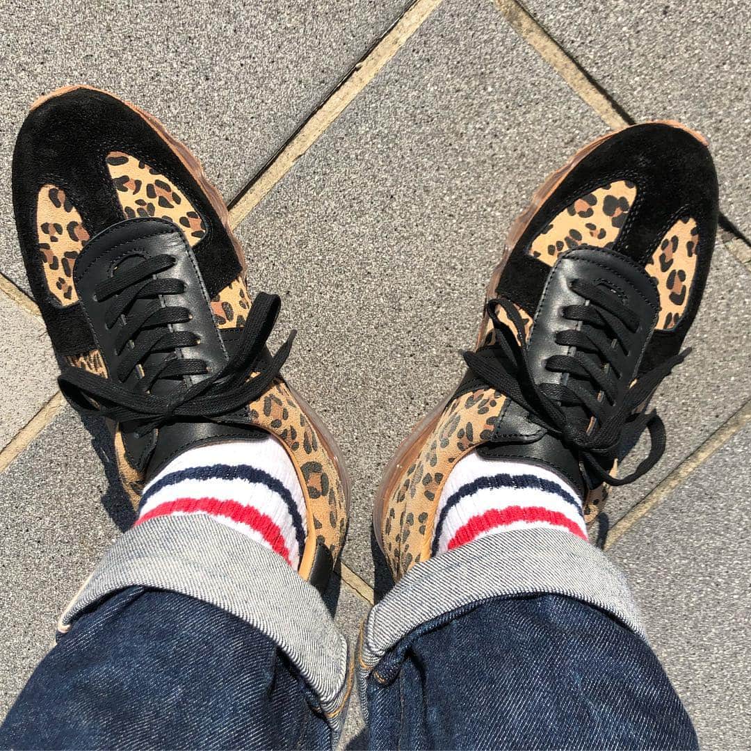 シーサーのインスタグラム