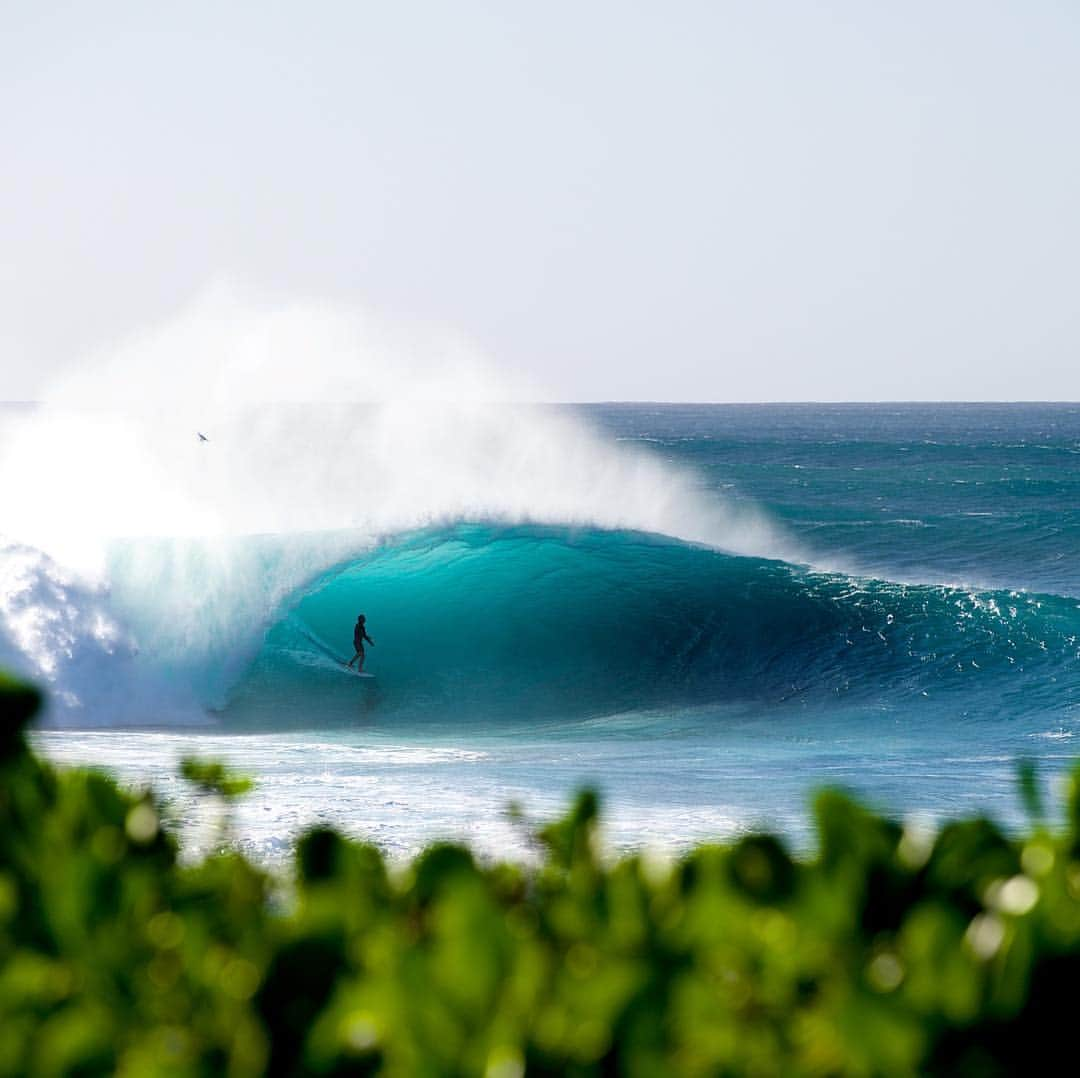 Nikon Australiaさんのインスタグラム写真 - (Nikon AustraliaInstagram)「In partnership with Surfing Australia, we are pleased to announce the finalists for the 2019 Nikon Surf Photo and Video of the Year Awards!  23 outstanding entries have been chosen by our panel of 13 high-profile judges from within the surfing industry, including Nikon Brand Ambassador Stephanie Gilmore.  View all finalists by visiting the link in our bio.  @surfingaus #MyNikonLife #Nikon #NikonAustralia #Surf #SurfingAustralia #Surfing #SurfPhotography #Ocean」3月19日 14時17分 - nikonaustralia