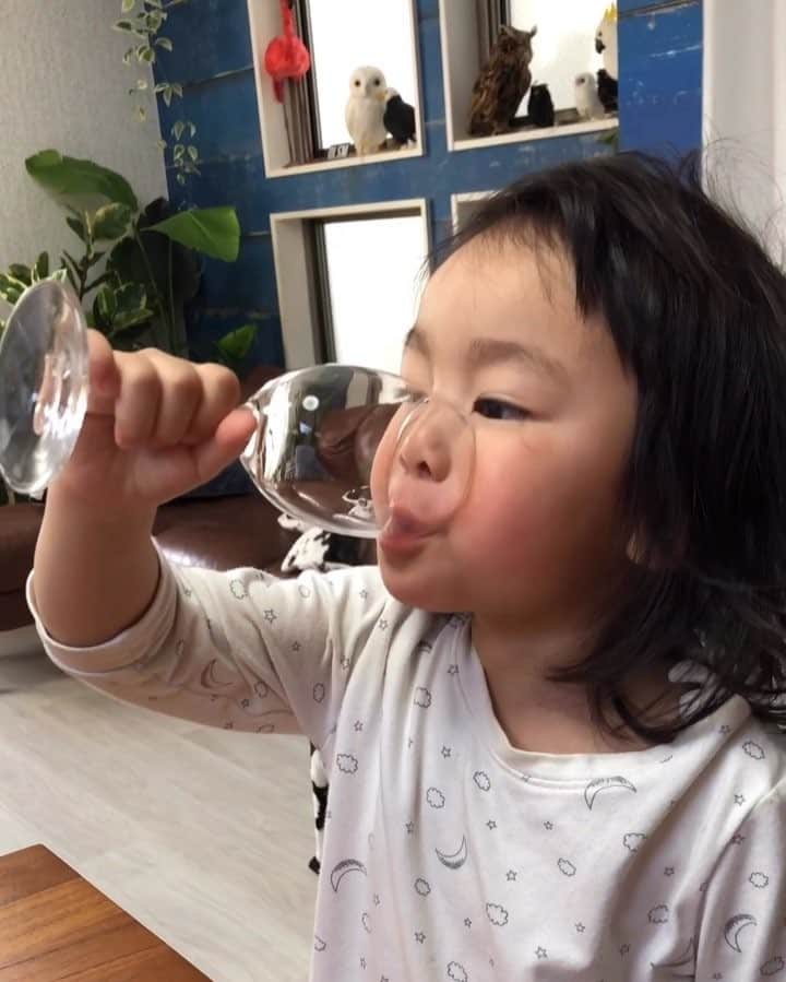 いなざうるす屋のインスタグラム