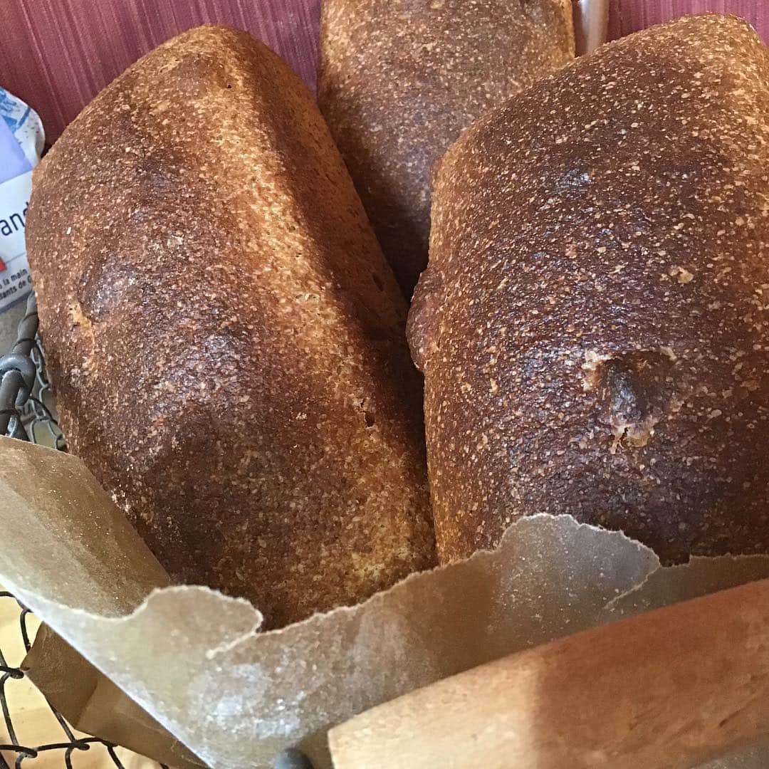 魔女菅原のグルメインスタ