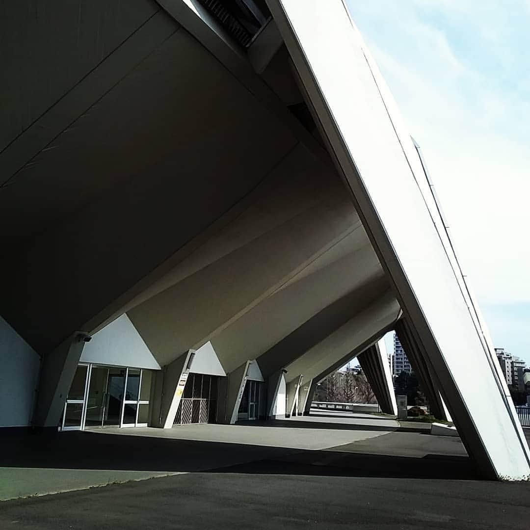 ANI さんのインスタグラム写真 - (ANI Instagram)「#駒沢公園」3月19日 15時27分 - sdp_ani