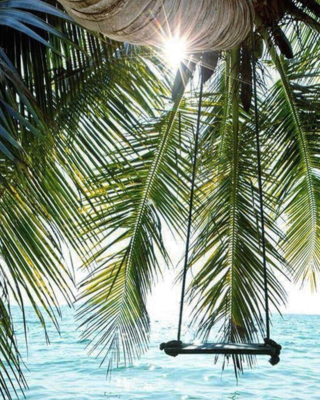 スターメラのインスタグラム：「Daydreaming! 🌴 #spring#starmelauk #newcollection #onlinesoon#paradise #goodmorning」