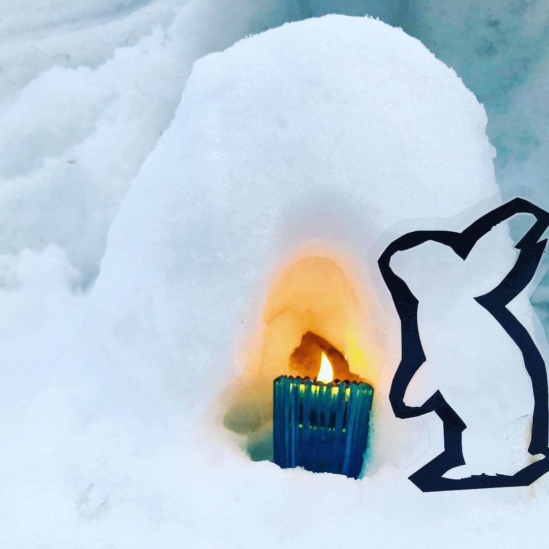 山人さんのインスタグラム写真 - (山人Instagram)「動物たちの雪あかり Animal’s snow candle light party. ・  #雪あかり #残雪 #うさぎ #rabbit #動物園 #岩手 #白うさぎ #candlelight #キャンドルサービス #キャンドルナイト #夜の過ごし方 #春が好き #ピーターラビット #うさぎ好きさんと繋がりたい #日本 #十五夜 #新生活 #新入社員研修 #入学式 #march #japan #日本 #日本食 #dinner #夕食 #サプライズ #山人 #yamado #記念日サプライズ」3月19日 15時49分 - yamado.official