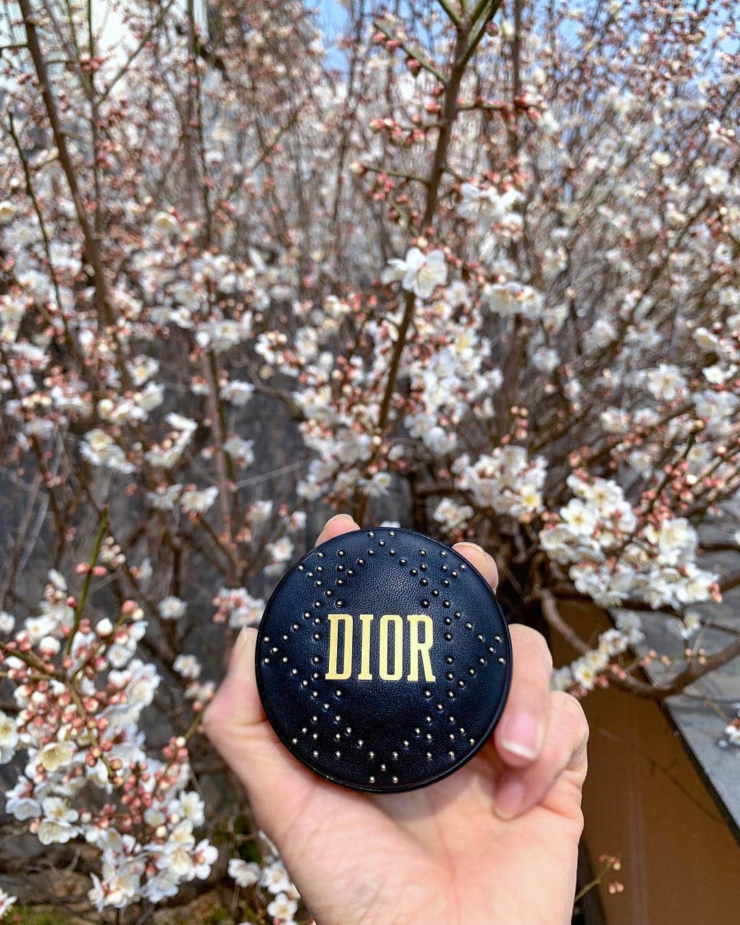 이미아 Mia Lee 李 美兒さんのインスタグラム写真 - (이미아 Mia Lee 李 美兒Instagram)「The cherry blossoms are in full bloom at my garden.  Would you like to stop by at my place for a tea and try a little gift from @diormakeup ?  매년 저희 집 정원의 벚꽃 올해도 예쁘게 만개했습니다. 🌸🌸🌸」3月19日 16時05分 - mia_personality