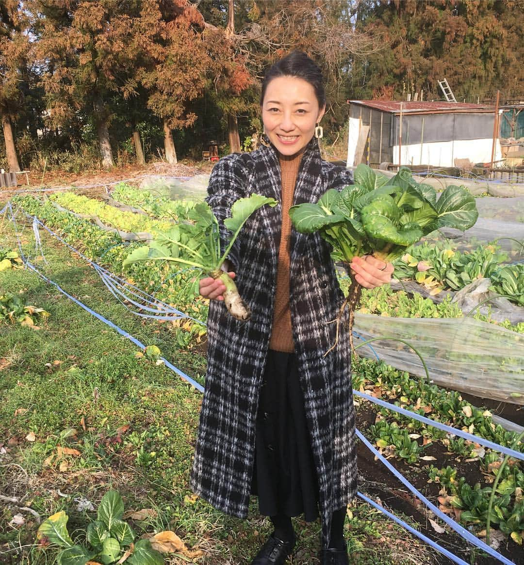 大湯みほさんのインスタグラム写真 - (大湯みほInstagram)「……… 大地に囲まれて✨自然の恩恵をた〜っぷり🌱受けて育った ・ ✨〜 江戸東京野菜〜🥦🥬🥕🥒🍆✨たち ・ １つひとつに、個性があって、エピソードもあって…時代を越えて✨現代につなぐ🤲🌱✨ ・ 味だって、見た目だって、スーパーの野菜とは違うけど…だからこそ！！✨美味しいんだよっ！！✨想いがこもってるんだよ！！✨人間にもそれぞれ性格があるように…本当に面白いほど野菜🥬🥕🥒にもそれぞれの表情があって✨味がまた…クゥーッ😍自然の優しさが詰まった味なんだなぁ〜 ・ 作る人、育てる人、運ぶ人、売る人、買う人、、、、🚚どんな人の手に渡るのかなぁ🥬？？それは、我が子を嫁に出すような…そんな気持ちなんだと思います！！✨ ・ 江戸から現代へ…タイムスリップ✨してきたこの子たち🌱だからこそ、次世代につないでいきたいですよね✨ばあちゃんのぬか漬け🍆もそうだし、日本の大切な文化は、どんどん広めていきたいです❗️ ・ #江戸東京野菜 #日本 #八王子 #伝統野菜 #江戸 #歴史 #発酵 #ぬか床 #たくわん #ぬか漬け #糠 #米 #江戸時代の救世主 #先人の知恵 #つなぐ #祖母 #おばあちゃんのぬか床 #アサノおばあちゃん #感謝 #生まれてきたことに感謝  #japan #traditional #food #organic #healthy #inner #beauty #diet #ぬか漬けマイスター #大湯みほ」3月19日 16時09分 - nukazukemiho0320