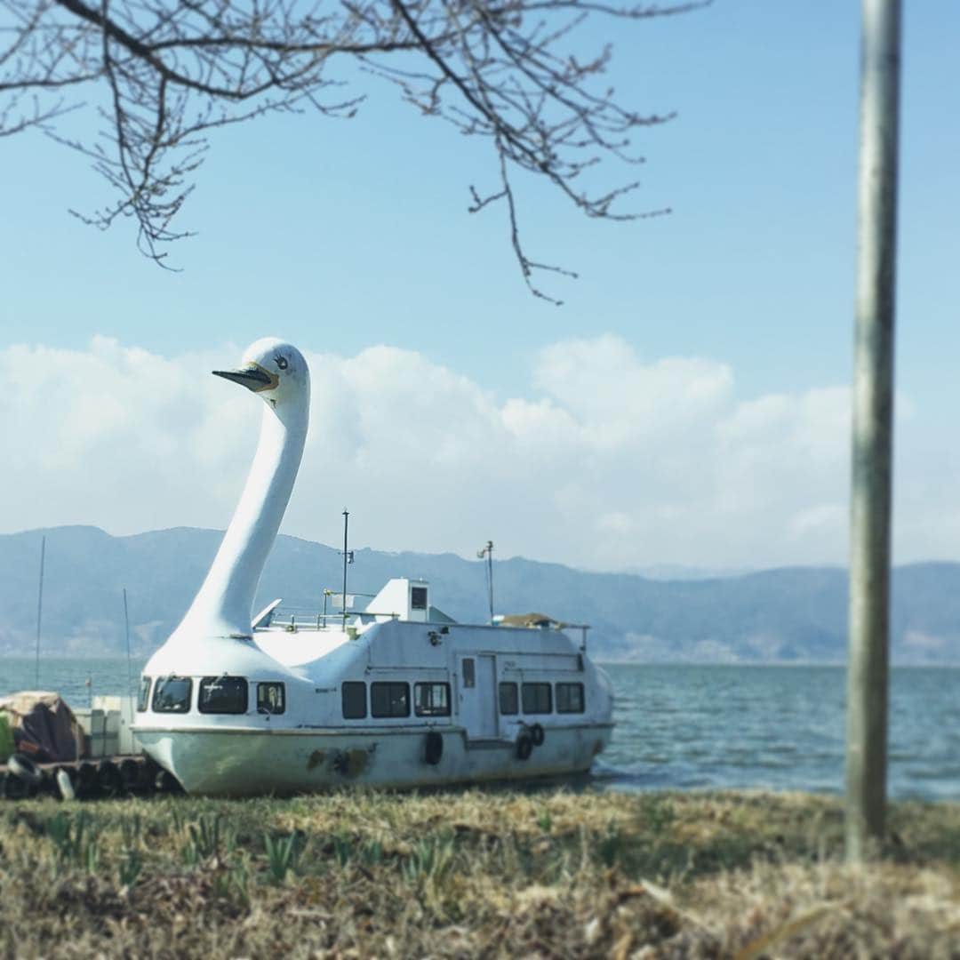 南壽あさ子さんのインスタグラム写真 - (南壽あさ子Instagram)「諏訪湖の白鳥丸  #諏訪 #諏訪湖」3月19日 16時40分 - nasuasaco
