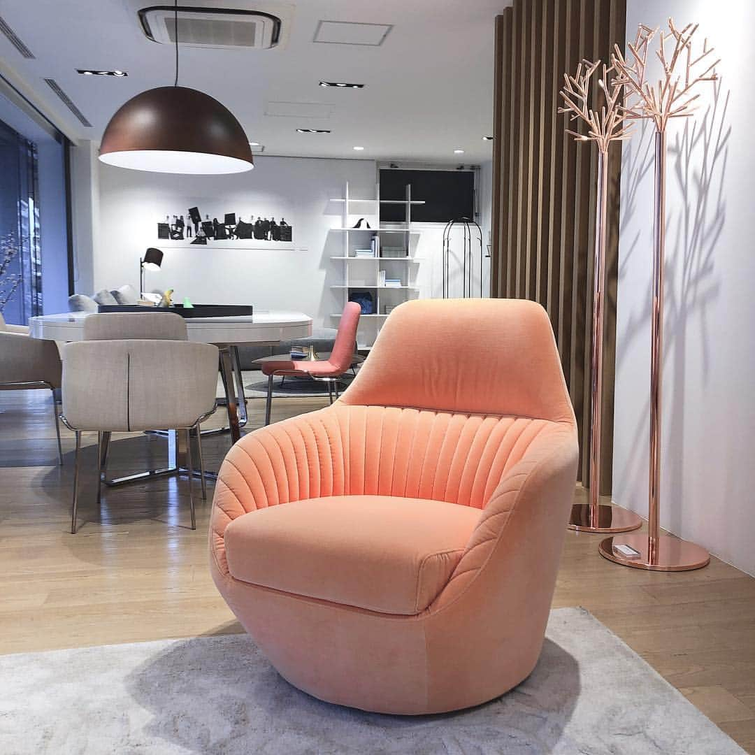 ligne roset shopのインスタグラム