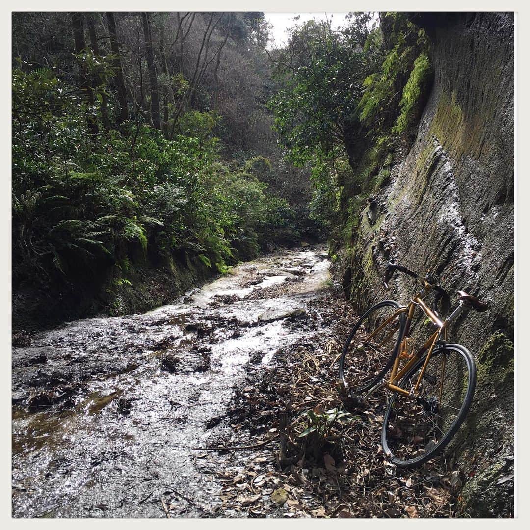 kumikoさんのインスタグラム写真 - (kumikoInstagram)「久しぶりに朝比奈切通し。 小1時間程の山道だけど、湧き水が沢のようになっていて好きな道。 自転車は担いで歩く。」3月19日 16時57分 - makudeco