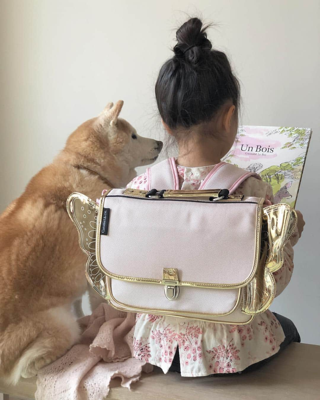 フィロとポンポンさんのインスタグラム写真 - (フィロとポンポンInstagram)「Petite lecture avec Pompon avant de partir sur le chemin de l’école... Bonne journée ! 🌸 #carameletcie 📗Un Bois @gwendallebec aux éditions Albin Michel Jeunesse.」3月19日 16時51分 - philo_pompon