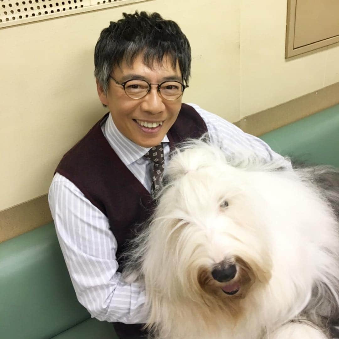 TBS「初めて恋をした日に読む話」さんのインスタグラム写真 - (TBS「初めて恋をした日に読む話」Instagram)「皆さん😊こんばんは🐕 #はじこい です❣️🐕❣️ ❣️ 皆大好きとろろ🐕 #エトミカ💐 #塾長📕 #ユリユリ🌷 からオフショット頂きました💝🐕💝 最終話まであと5時間💕📺 お楽しみに💕🌈💕 #tbs #深田恭子 #永山絢斗 #横浜流星 #中村倫也 #生瀬勝久 #吉川愛 #とろろ #抱きしめずにはいられないモジャモジャ感 #最後の最後までお見逃しなく」3月19日 17時00分 - hajikoi_tbs