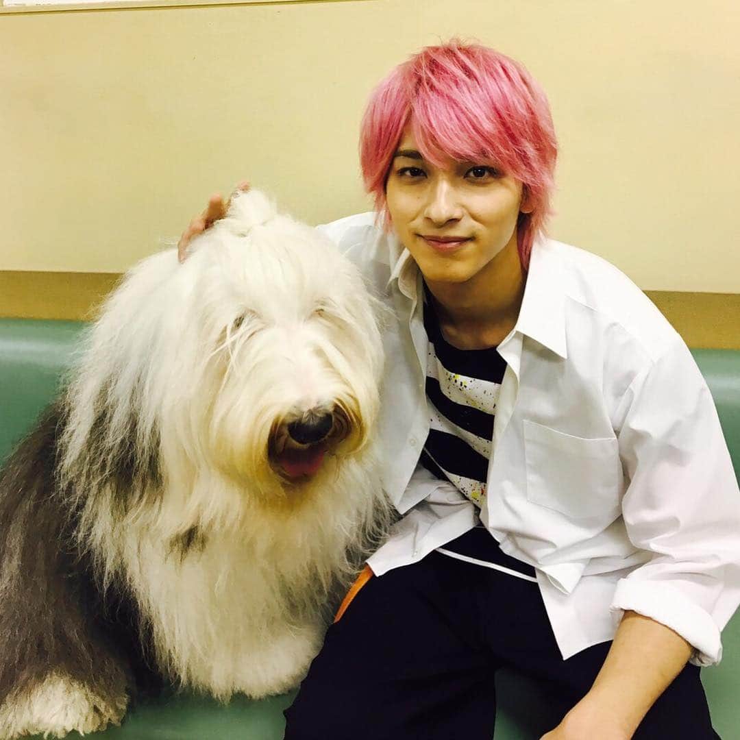 TBS「初めて恋をした日に読む話」さんのインスタグラム写真 - (TBS「初めて恋をした日に読む話」Instagram)「皆さん😊こんばんは🐕 #はじこい です❣️🐕❣️ ❣️ 皆大好きとろろ🐕 #エトミカ💐 #塾長📕 #ユリユリ🌷 からオフショット頂きました💝🐕💝 最終話まであと5時間💕📺 お楽しみに💕🌈💕 #tbs #深田恭子 #永山絢斗 #横浜流星 #中村倫也 #生瀬勝久 #吉川愛 #とろろ #抱きしめずにはいられないモジャモジャ感 #最後の最後までお見逃しなく」3月19日 17時00分 - hajikoi_tbs